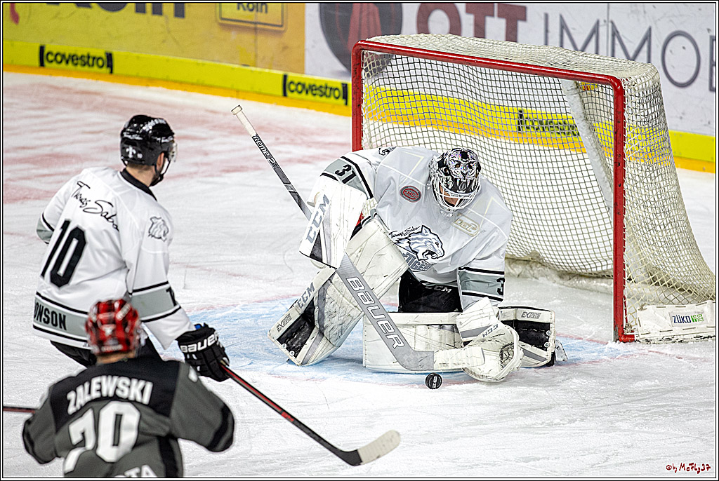 DEL; Koelner Haie - Thomas Sabo Ice Tigers, 28.11.2018